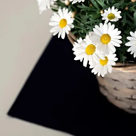 Appartamento Casa Primavera *