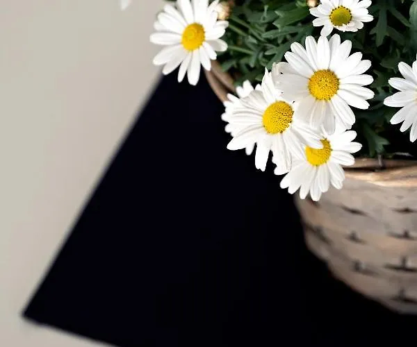 Апартаменти Casa Primavera *